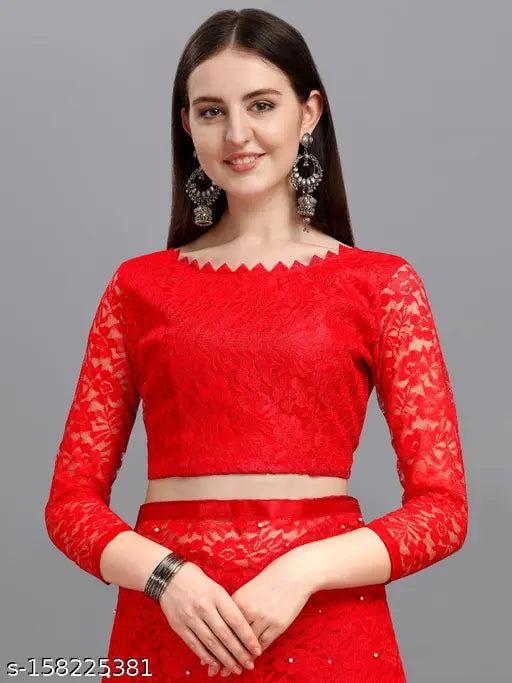 Embellished Net Saree